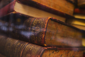 ��׼�޶��ı���