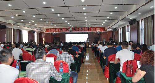 �����ɹ�ITɳ��