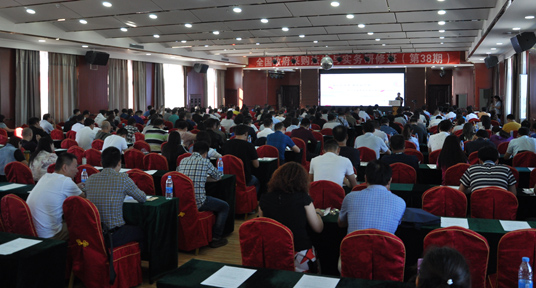 �����ɹ�ITɳ��