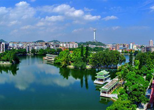 �����ۺϹ����ƹ�����